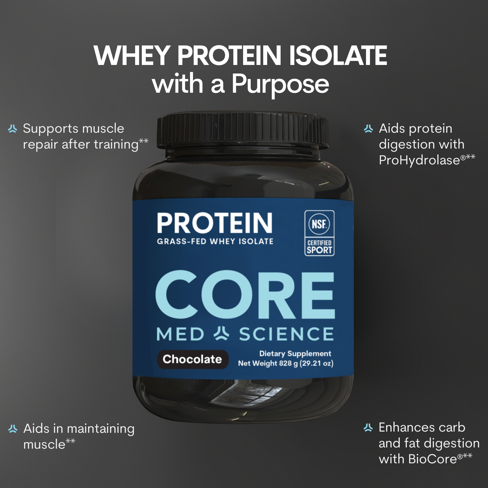 OIAM CORE Whey Protein Isolate Powder - Chocolate