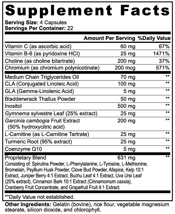 2.0 LIFESTYLE Igniter for Fat Loss - 90 Capsules