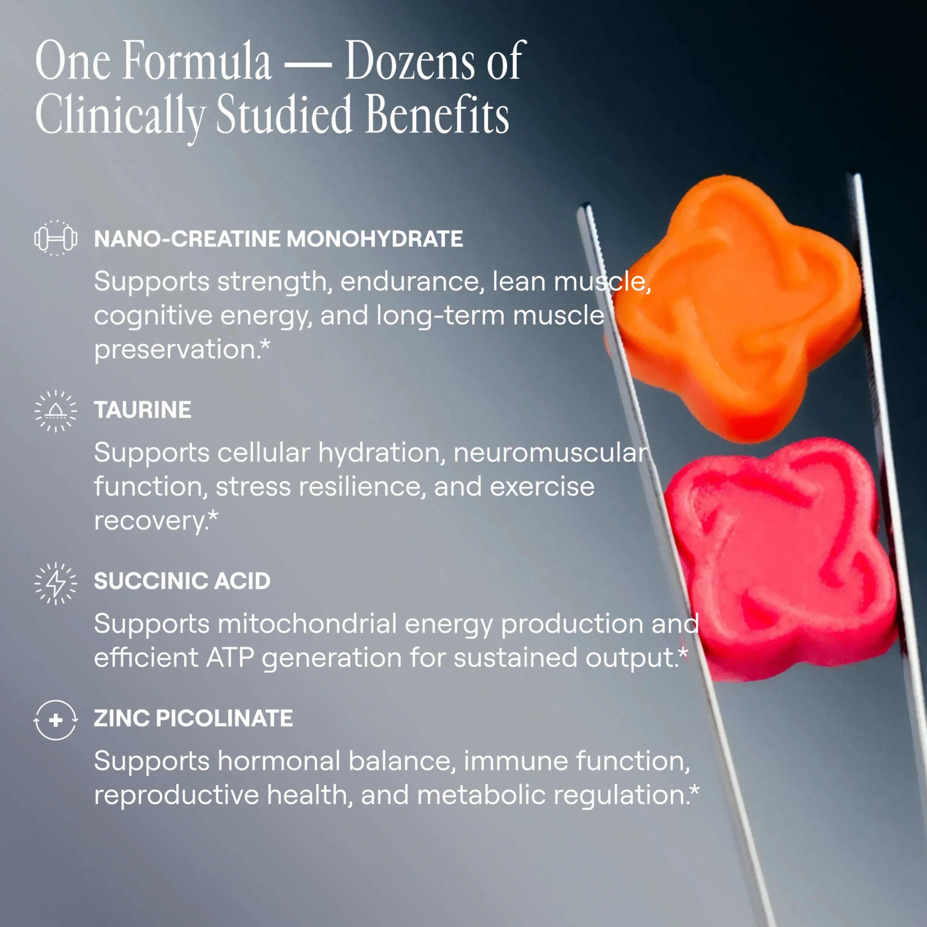 Arq8™ Nano-Creatine Monohydrate Gummies - 2 Flavors